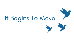 It Begins To Move 1:1 Studio