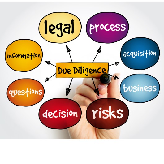 13eoyt_due_diligence_530x530_dreamstime_