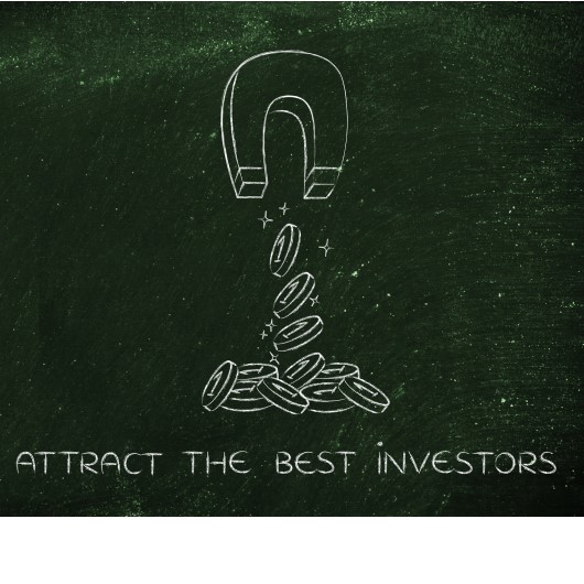 investor_magnet_530x530_dreamstime_m_742