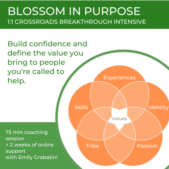 blossom_in_purpose_intensive_offer.png